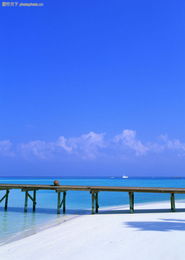 海上度假與陸路貨運(yùn) 現(xiàn)代生活方式的多元畫卷