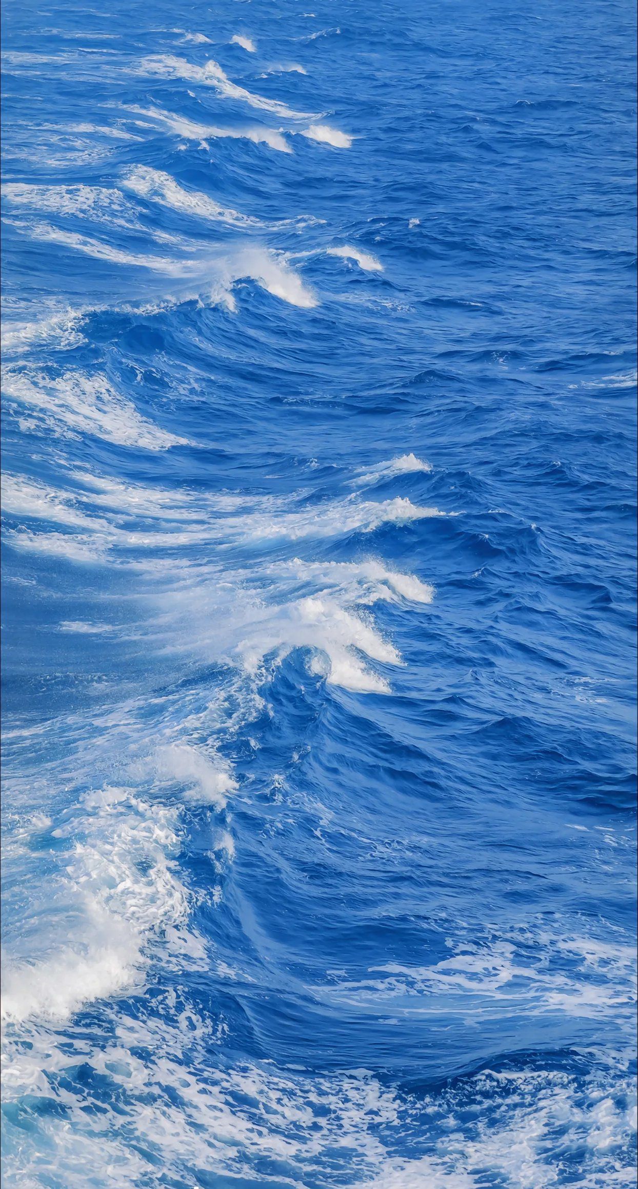 海上漂，心飛揚(yáng)——探索陸路國際貨運(yùn)代理業(yè)務(wù)的獨(dú)特魅力